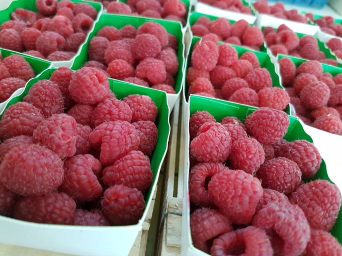 19944312_1075957302537250_1734796826842988971_o