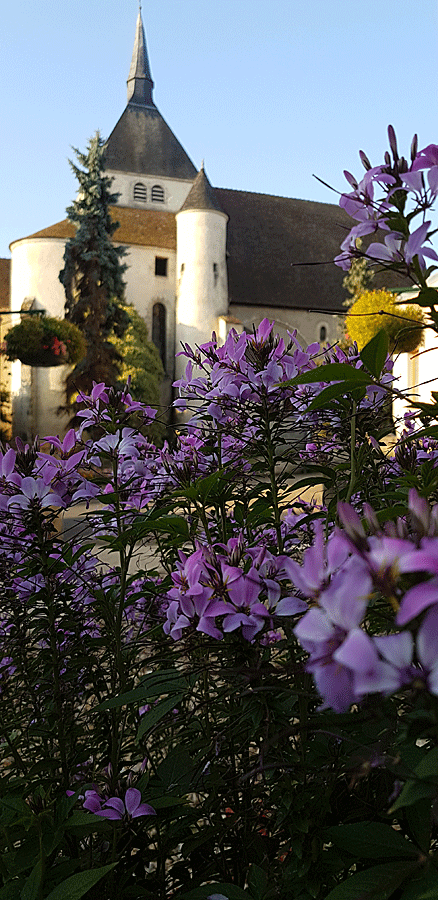 21231783_1940703242846906_2109977389272129892_n