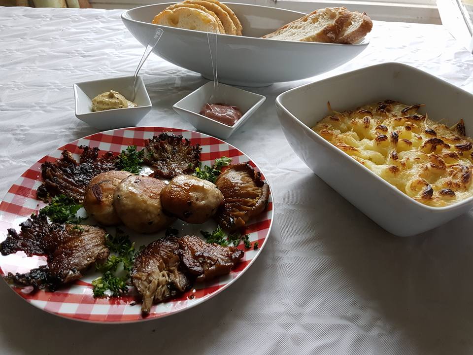 26907030_1197008927098753_1368691624254309162_n