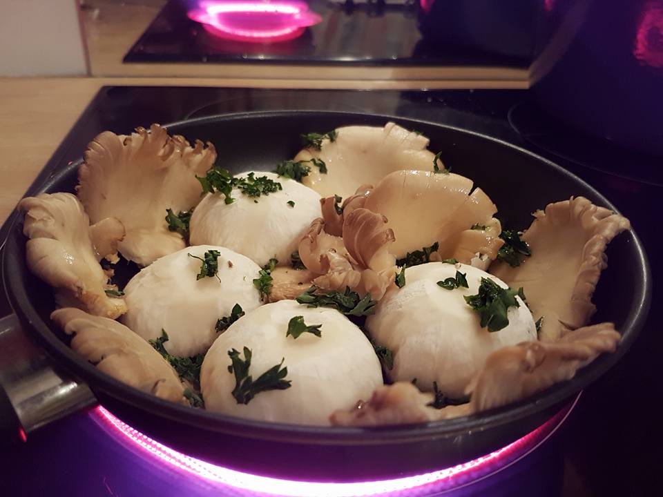 26908028_1197008447098801_8920238921077157380_n