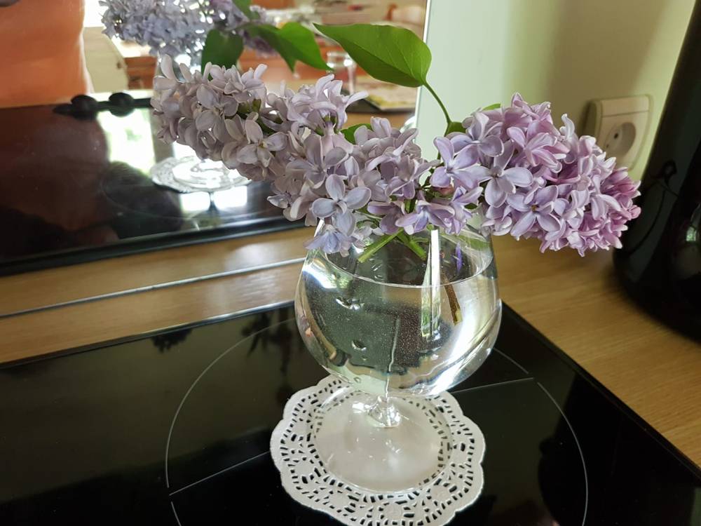 31404059_1260793580720287_5028160862452449280_o