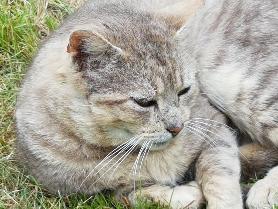 31786638_1265473880252257_8120164941907886080_n