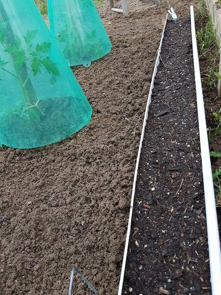 32294594_1271219523011026_3243776129068171264_n