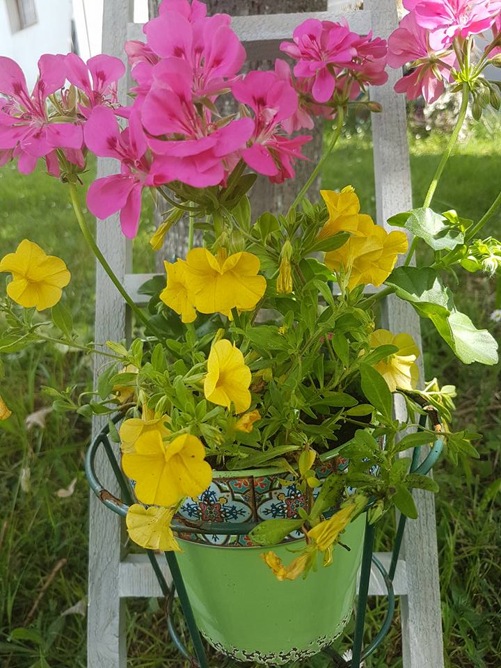 33965556_1283231781809800_1256773414392168448_n